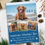 Pet Year in Review Blue Hund Photo Julkort<br><div class="desc">Vi presenterar vår senaste insamling av helgdagskort, perfekt för djur älskare och ägare av sällskapsdjur! Våra "fantastiskt bra år"-kort visar hårigets familjemedlemmar på ett sött, modernt och roligt sätt. De här korten är snyggt och festande och innehåller en fotosamling av dina husdjur under hela året. Våra kort är designade för...</div>
