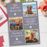 Pet Year in Review Cute Modern 3 Hund Photo Collag Julkort<br><div class="desc">Vi presenterar vår senaste insamling av helgdagskort, perfekt för djur älskare och ägare av sällskapsdjur! Våra "fantastiskt bra år"-kort visar hårigets familjemedlemmar på ett sött, modernt och roligt sätt. De här korten är snyggt och festande och innehåller en fotosamling av dina husdjur under hela året. Våra kort är designade för...</div>