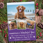 Pet Year in Review Modern Hund Photo Collage Julkort<br><div class="desc">Vi presenterar vår senaste insamling av helgdagskort, perfekt för djur älskare och ägare av sällskapsdjur! Våra "fantastiskt bra år"-kort visar hårigets familjemedlemmar på ett sött, modernt och roligt sätt. De här korten är snyggt och festande och innehåller en fotosamling av dina husdjur under hela året. Våra kort är designade för...</div>