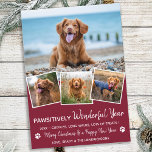 Pet Year in Review Red Hund Photo Collage Julkort<br><div class="desc">Vi presenterar vår senaste insamling av helgdagskort, perfekt för djur älskare och ägare av sällskapsdjur! Våra "fantastiskt bra år"-kort visar hårigets familjemedlemmar på ett sött, modernt och roligt sätt. De här korten är snyggt och festande och innehåller en fotosamling av dina husdjur under hela året. Våra kort är designade för...</div>