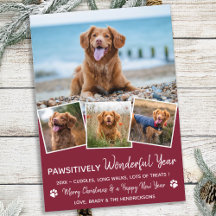 Pet Year in Review Red Hund Photo Collage