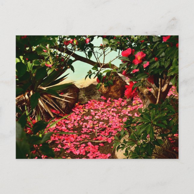 Petal Haven vid Vatten Kant Vykort (Framsida)