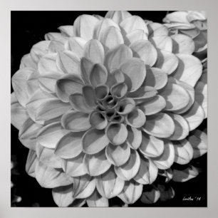 Petal Mönster Poster