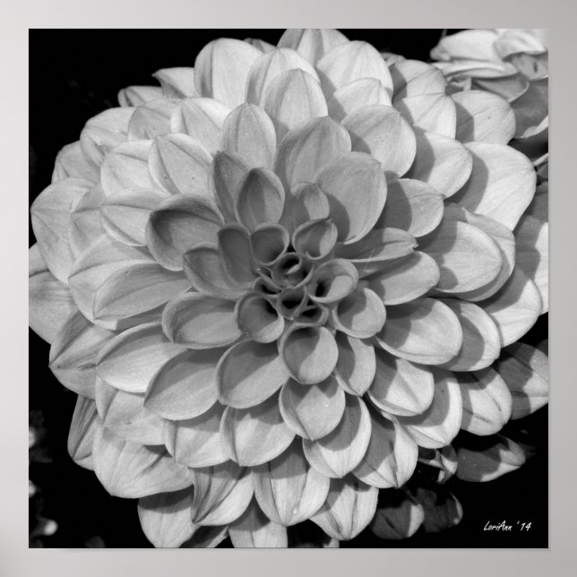 Petal Mönster Poster (Framsidan)