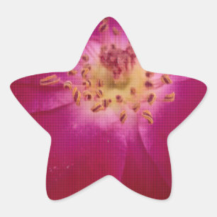 Petal Perfektion: Kontrollerad Ro Petal Mönster Ar Stjärnformat Klistermärke