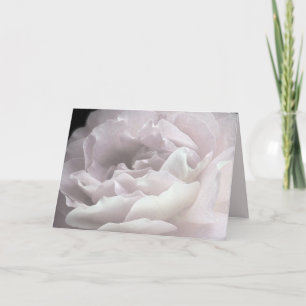 Petaler i Rosa ros med ultraBlek, tomt gratulation Kort