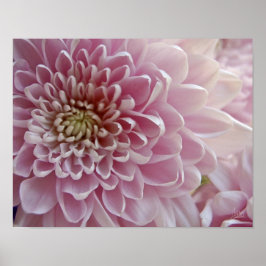 Petals #2 [Art Print] Poster