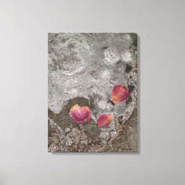 Petals Ashore Canvastryck
