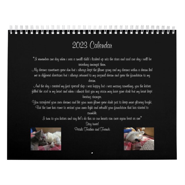 Petals Feather & Friends 2023 Calendar Kalender (Omslag)