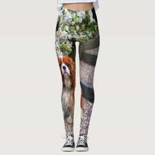 Petals för vit för Blenheim stolt kung Charles Leggings