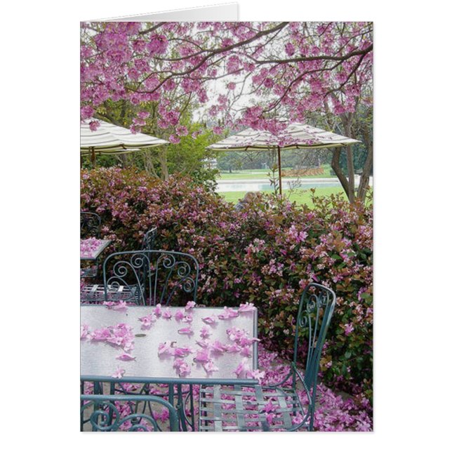 petals galore hälsningskort (Framsidan)