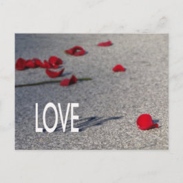 Petals kärlek & Ro Vykort