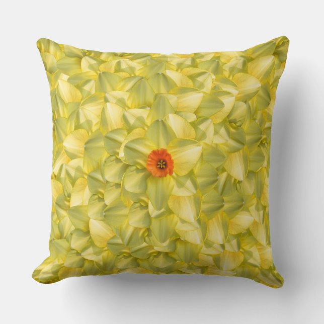 Petals makt kudde (Framsida)