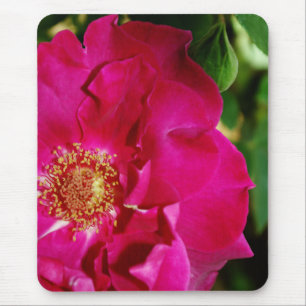 Petals of Summer Mousepad Musmatta
