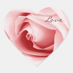 petals rosa ros - kärlek hjärtformat klistermärke