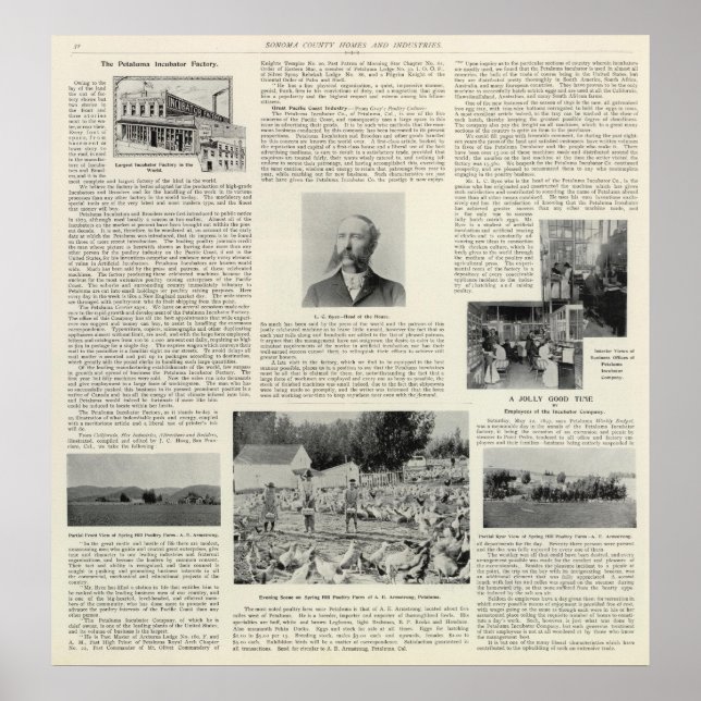 Petaluma Incubator Factory, Kalifornien Poster (Framsidan)