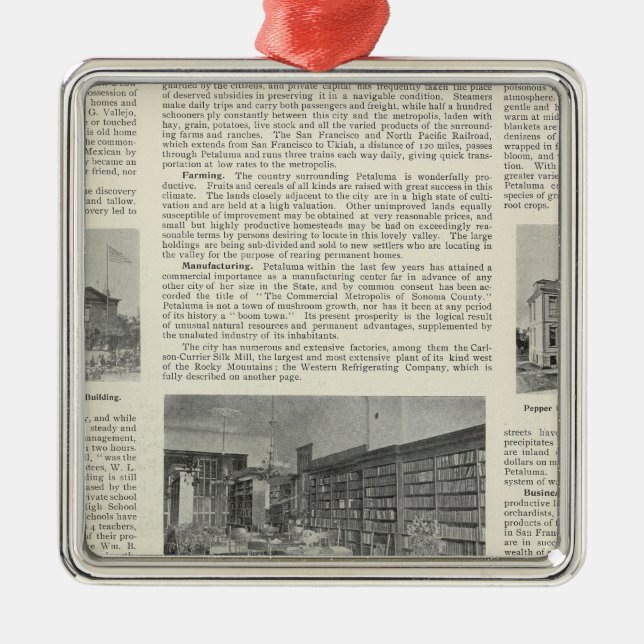 Petaluma, Kalifornien Julgransprydnad Metall (Framsidan)