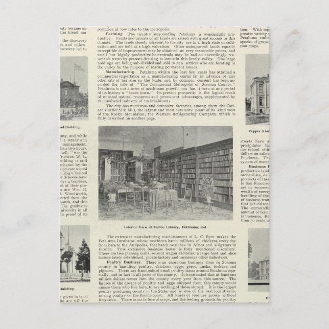 Petaluma, Kalifornien Vykort (Framsida)