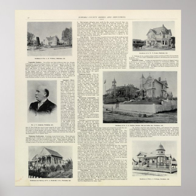 Petaluma Residences, Kalifornien Poster (Framsidan)