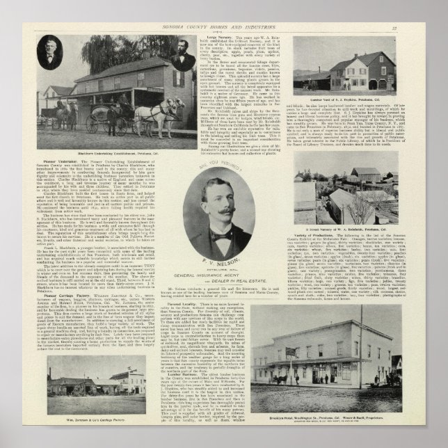 Petalumaföretag, Kalifornien Poster (Framsidan)