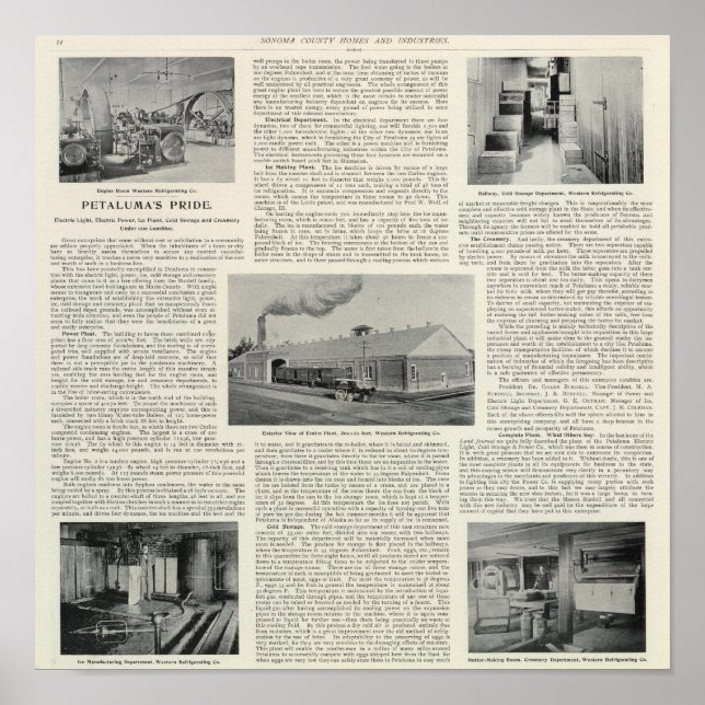 Petalumas Pride, Kalifornien Poster (Framsidan)