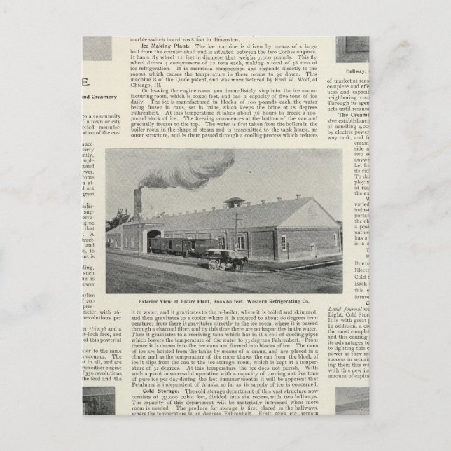 Petalumas Pride, Kalifornien Vykort (Framsida)