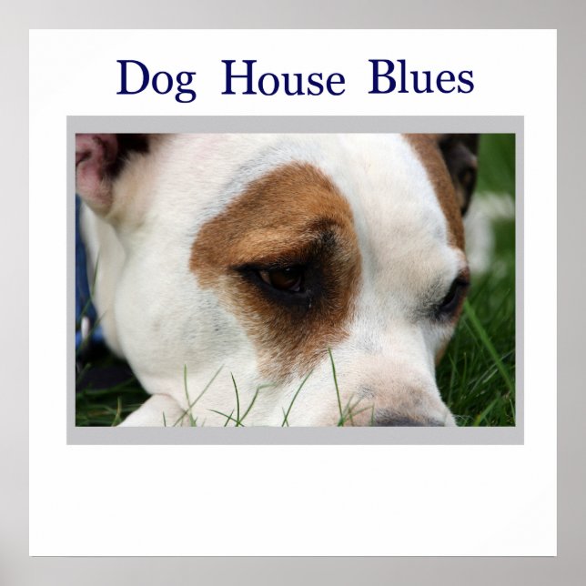 Pete Pit1 Poster (Framsidan)