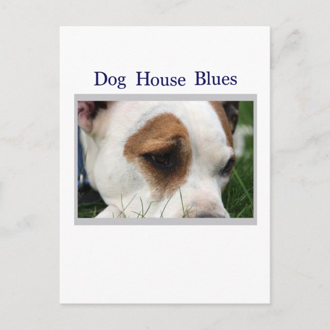 Pete Pit1 Vykort (Framsida)