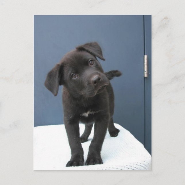 Pete Vykort (Framsida)