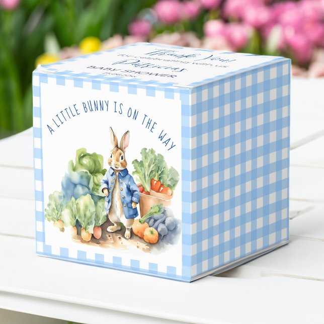 Peter kanin pojke babydusch presentaskar (Peter rabbit baby boy baby shower favor boxes pastel blue gingham personalized candy favor box)