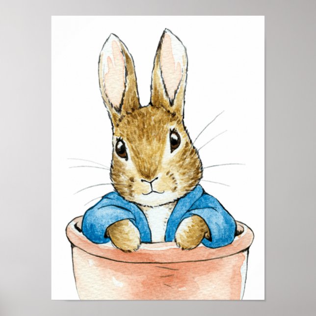 Peter Kaninen Sittande i Krukväxt Kruka        Poster (Framsidan)
