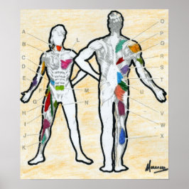 Peter Max stil undertecknade muskeldiagram tecknin Poster