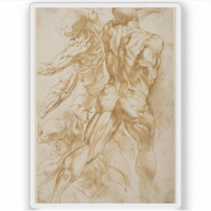 Peter Paul Rubens - Anatomiska studier Klistermärken
