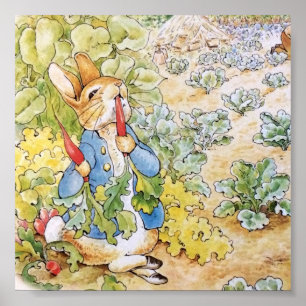 Peter Rabbit Eating a Carrot Poster