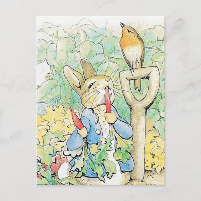 "Peter Rabbit Eats a Carrot" av Beatrix Potter Vykort (Framsida)