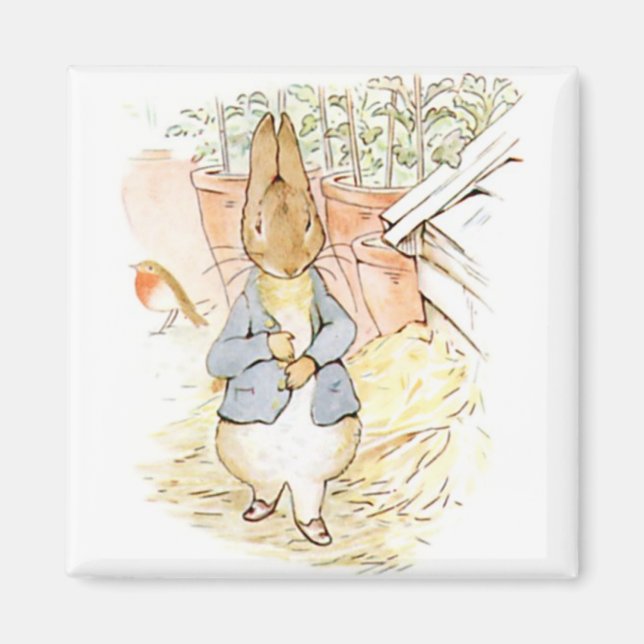 Peter Rabbit in the Garden (av Beatrix-Potterna) Magnet (Framsidan)