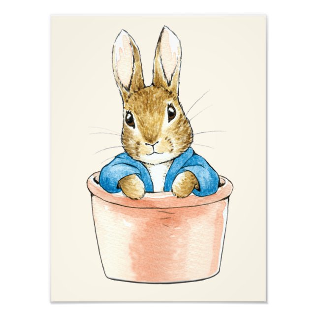 Peter Rabbit Sitta i Plant Pot Fototryck (Framsidan)