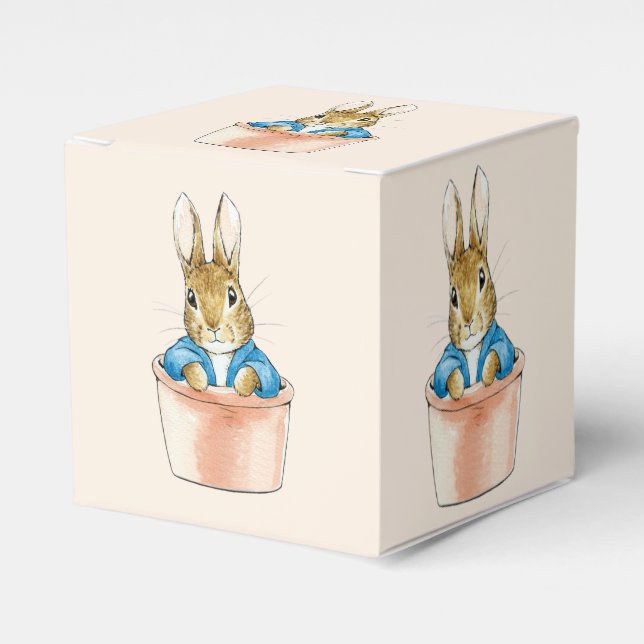 Peter Rabbit Sitta i Plant Pot Presentaskar (Framsidan Sidan)