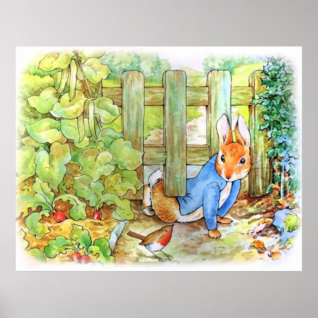 Peter Rabbit Sneaking in Mc Gregors Vegie G Poster (Framsidan)