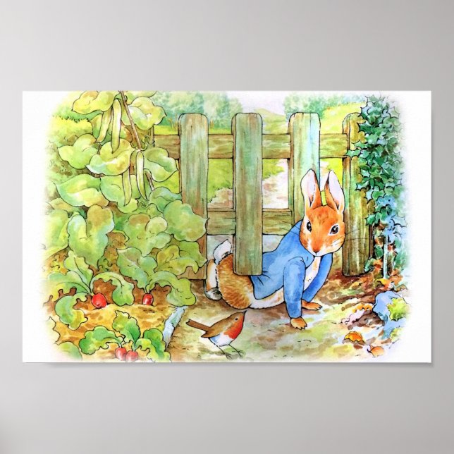 Peter Rabbit Sneaking in Mc Gregors Vegie G Poster (Framsidan)