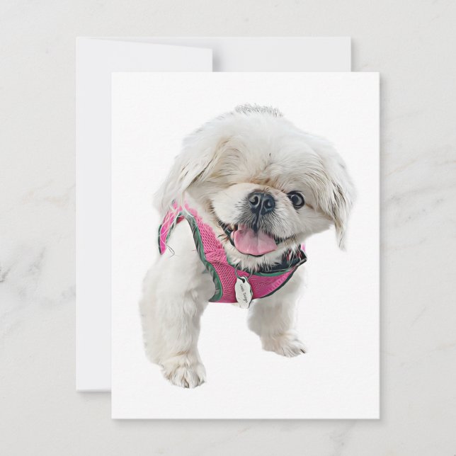 Peter Rottmajor Note Card Anteckningskort (Framsida)