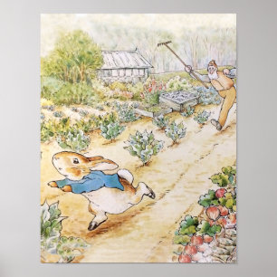 Peter the Rabbit in Mc Gregor's Garden Poster