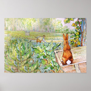 Peter the Rabbit in Mc Gregors Vegie Garden Poster