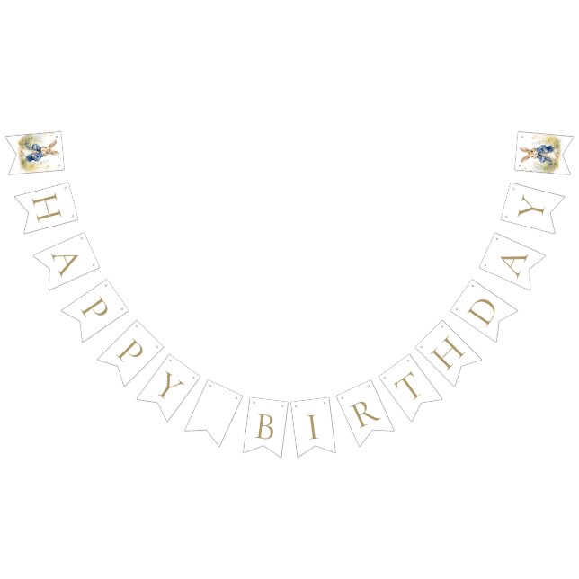 Peter Watercolor Birthday Vimplar (Alla)