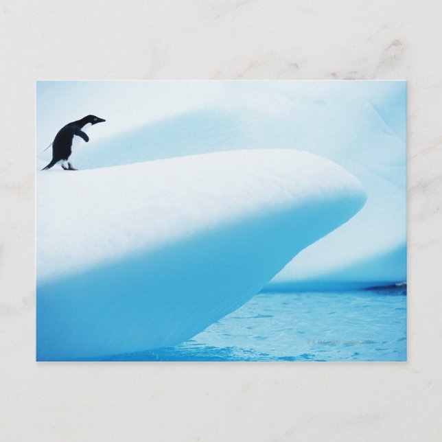 Petermann Island, Antarctica Vykort (Framsida)