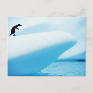 Petermann Island, Antarctica Vykort