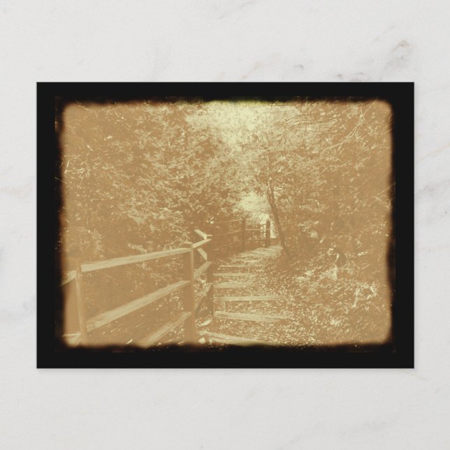 Peterson Park, Northport, Michigan - vykort (Framsida)