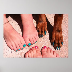 Peticure - PedicureSpadag Poster