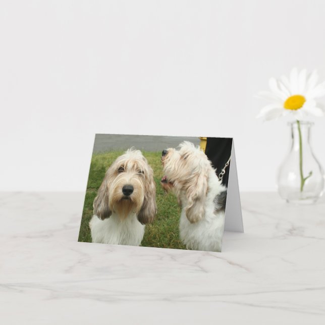 Petit Basette Griffon Vendeen Blank Card Kort (Liten växt)