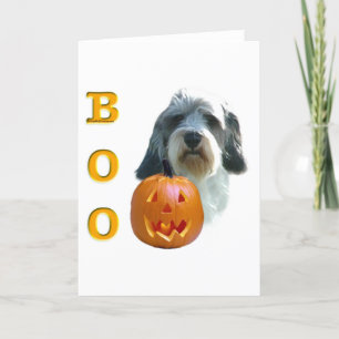 Petit Basset Griffon Vendeen Boo Kort